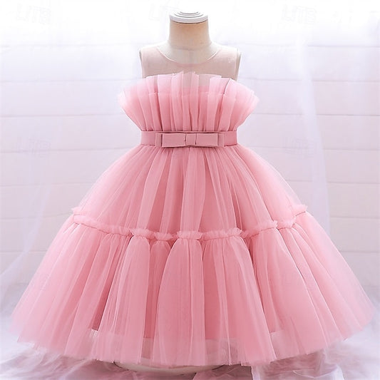 Flower Girls' Kid's Princess Girl Dress