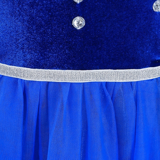 Theme Girl Princess Dress Fairytale Elsa Party Flower Frozen