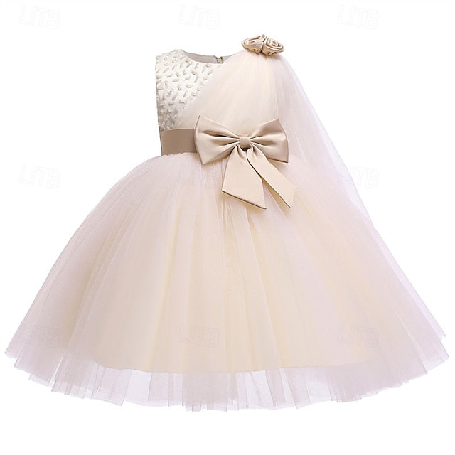 Girls' Dress Girl Princess Kid's Flower