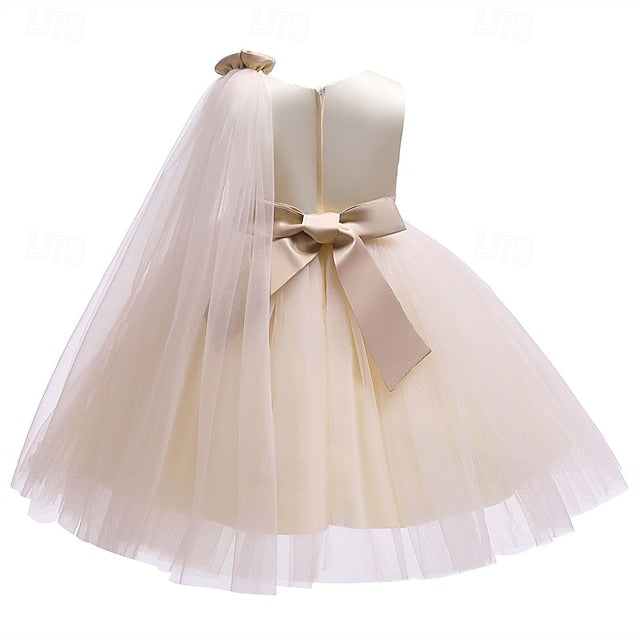Girls' Dress Girl Princess Kid's Flower