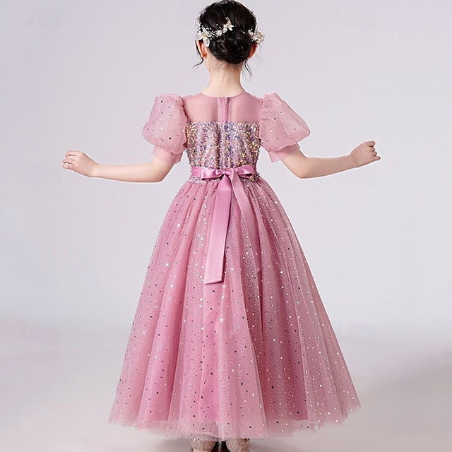 Princess Dress Kid's Flower Girls' Girl