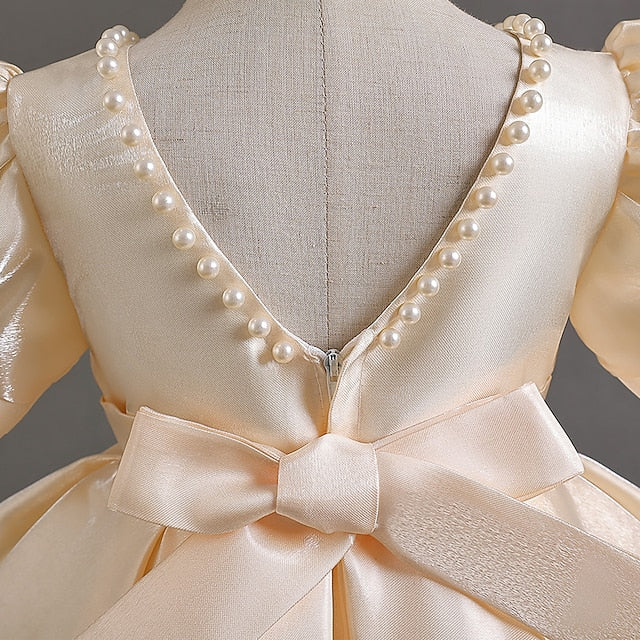 Wedding Special Girl Party Girls' Flower Dress