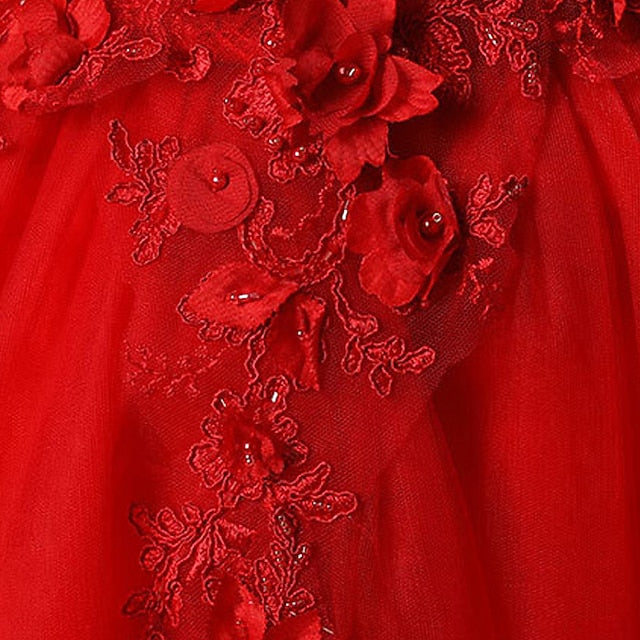 Girl Girls' Flower Princess Dress Party