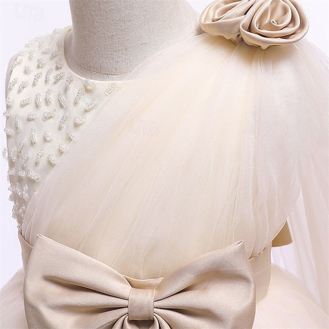 Girls' Dress Girl Princess Kid's Flower