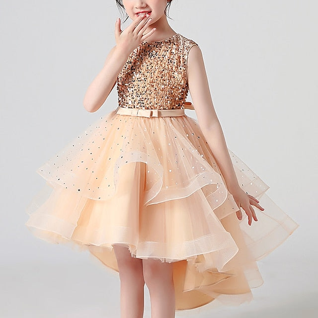 Dress Princess Party Girl Girls' Flower