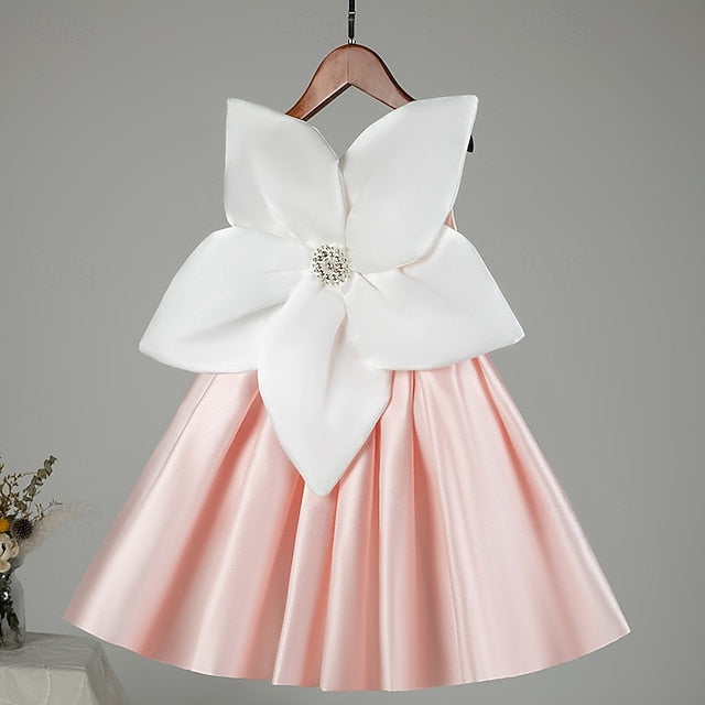 Kid's Princess Girls' Dress Girl Flower