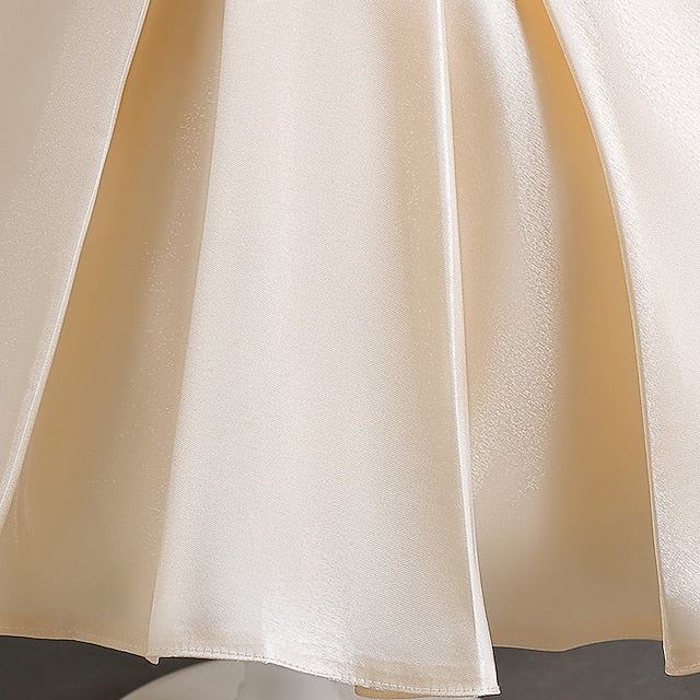 Wedding Special Girl Party Girls' Flower Dress