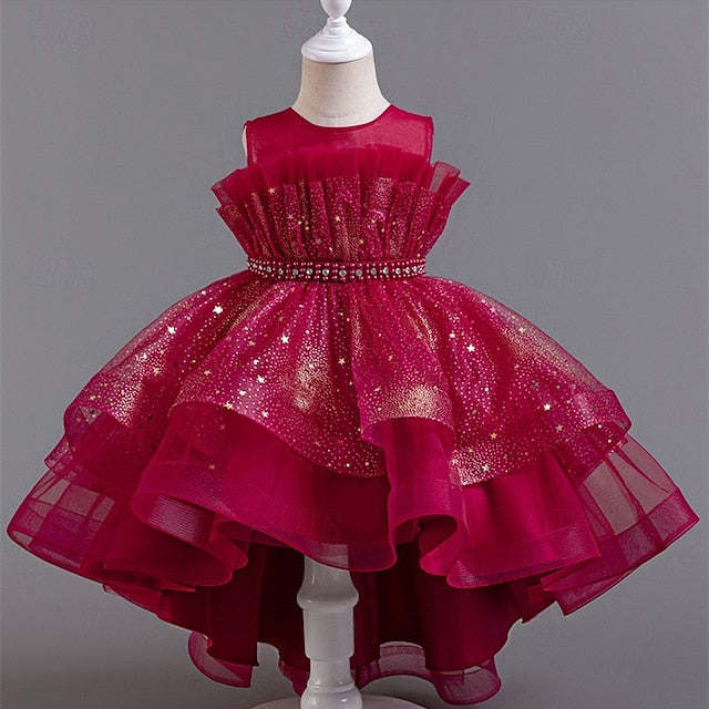 Flower Girls' Dress Princess Girl Kid's