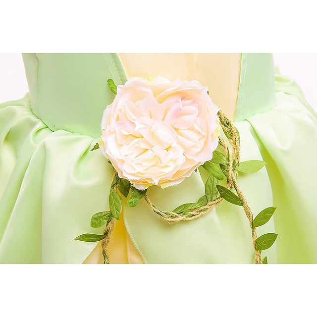 Bell Princess Tinker Girl Tiana Theme Flower Dress Fairytale