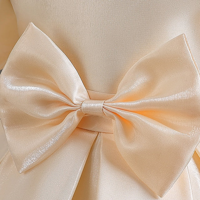 Wedding Special Girl Party Girls' Flower Dress