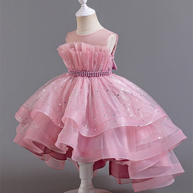 Flower Girls' Dress Princess Girl Kid's
