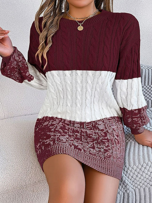 Women's Mini Dress Sweater Dress Fashion Modern Daily
