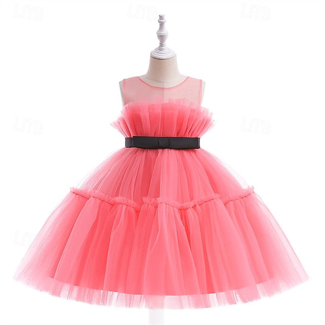 Flower Girls' Kid's Princess Girl Dress