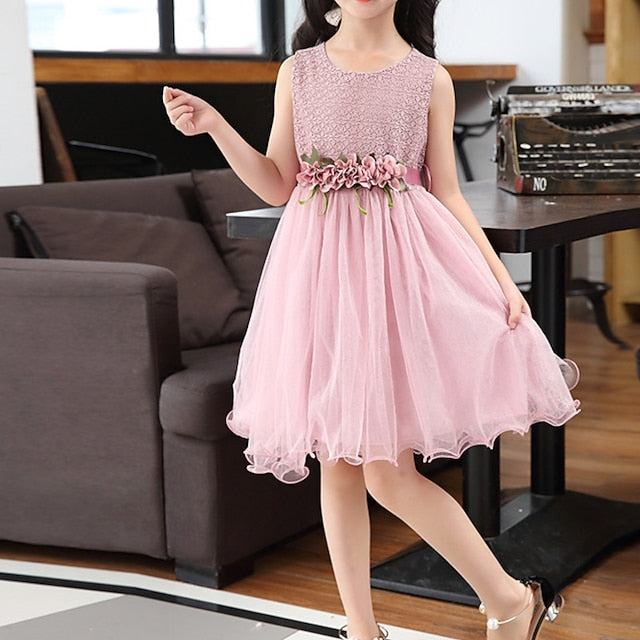 Dress Girls' Performance Girl Flower Party