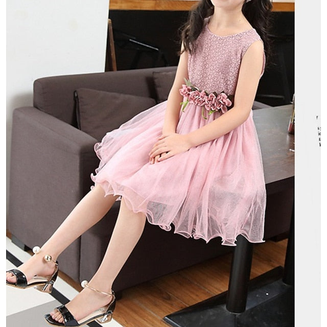 Dress Girls' Performance Girl Flower Party